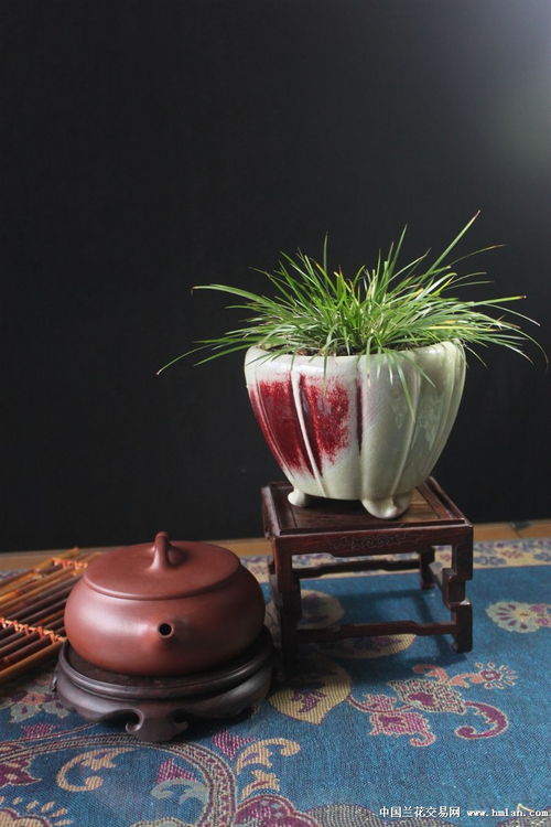 宜興紫砂二廠精品茶壺原礦高工房玉蘭 矮石瓢350cc